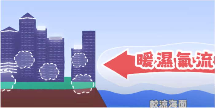 当暖湿空气遇上较凉的海面冷却而达到饱和，凝结成小水滴，形成薄雾或雾，使能见度下降。天文台图片