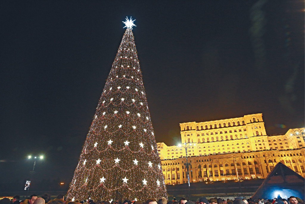 布加勒斯特冬日市集的聖誕樹閃閃發亮。