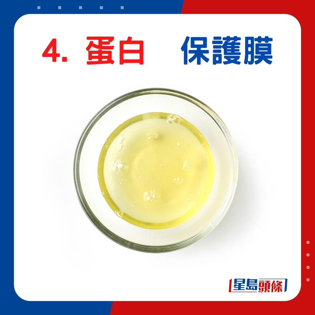 4. 蛋白  保護膜