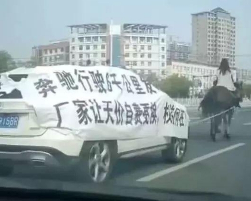 創意維權?女子騎馬拖平治拉橫額。(網圖)