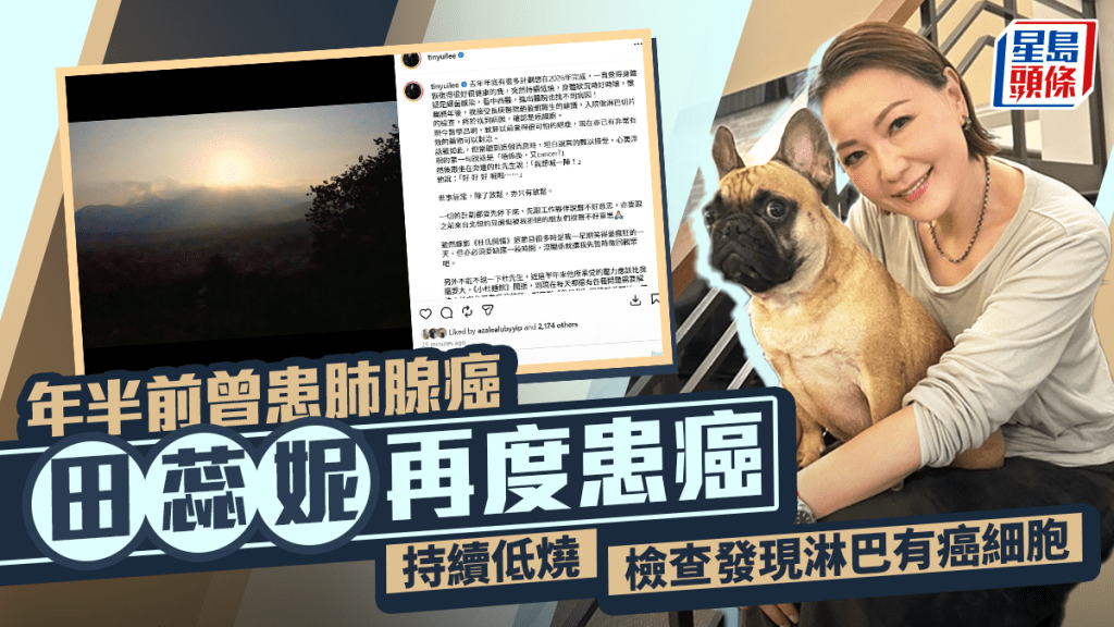 田蕊妮再度患癌  持續低燒檢查發現淋巴有癌細胞須接受標靶治療  年半前透露患肺腺癌