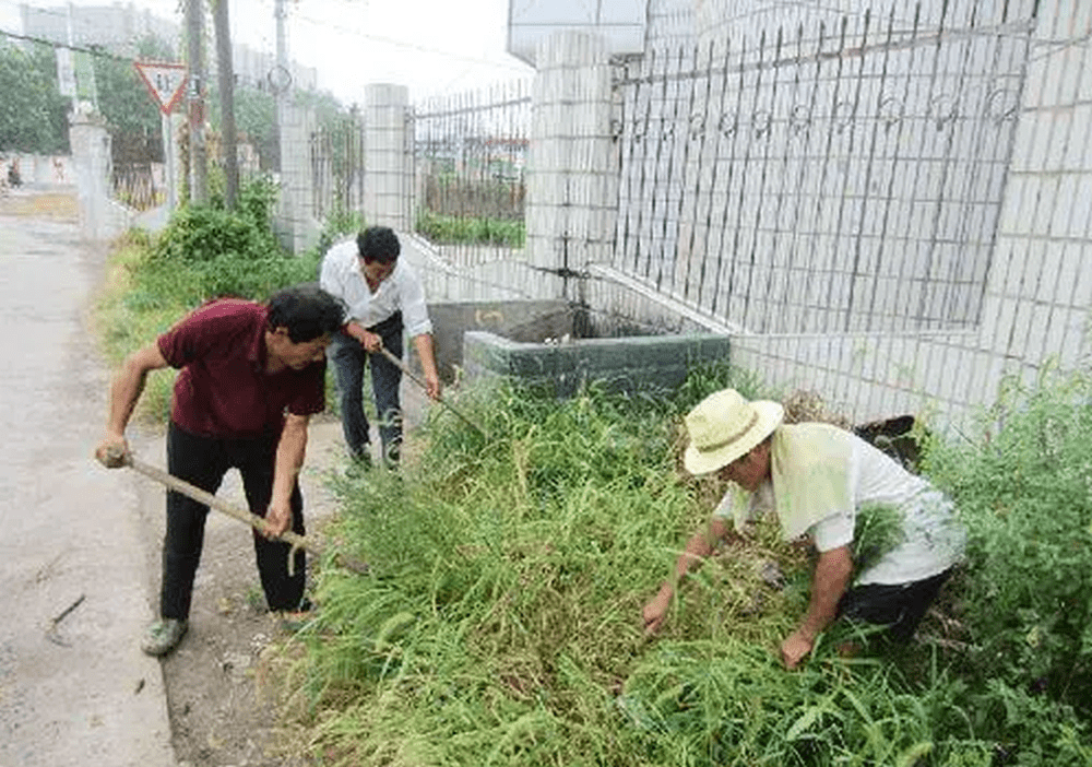 全國通報:因搞「人草大戰」,處理信陽副市長、息縣委書記等9人被處理。