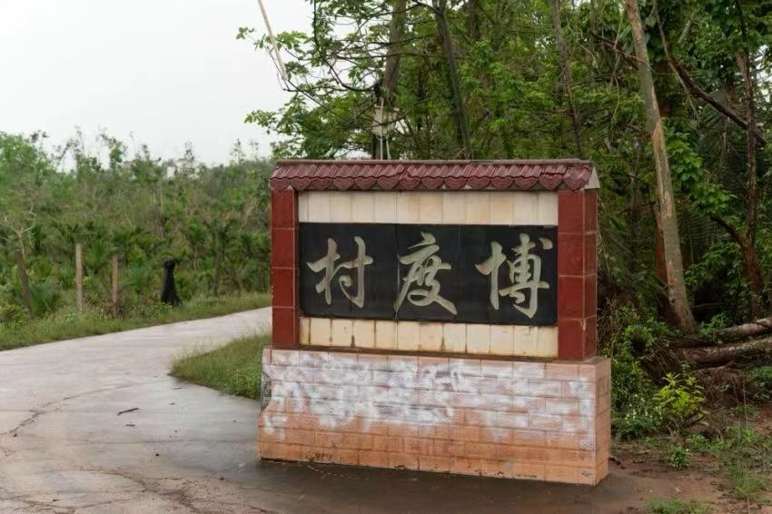  紅樹林修復項目位於海南島東寨港博度村自然保護區。