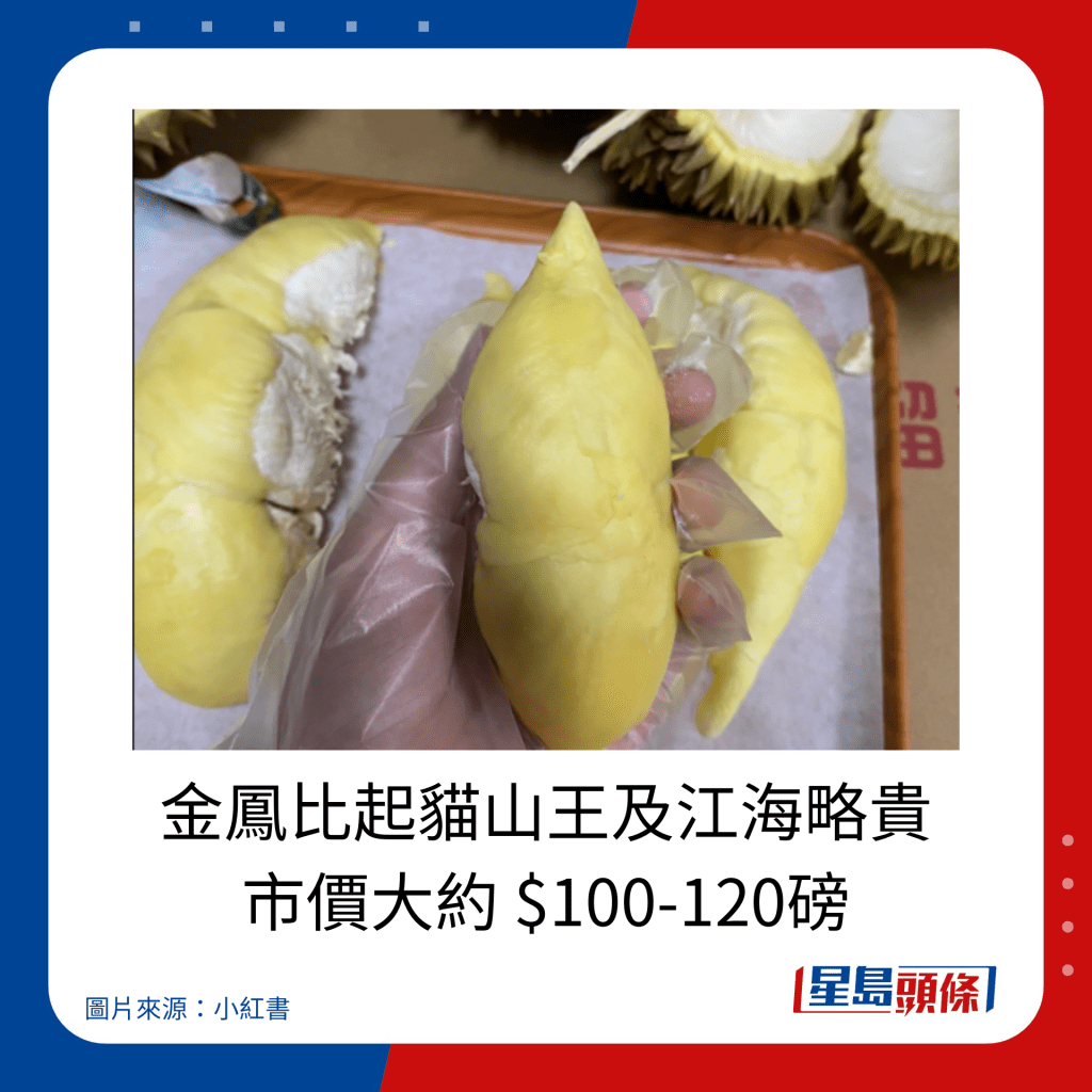 榴槤品種推介｜馬來西亞金鳳比起貓山王及江海略貴 市價大約 $100-120磅。