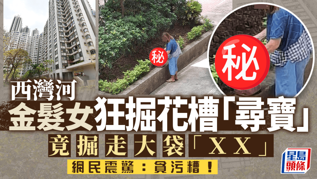 西灣河金髮女狂掘花槽「尋寶」 竟掘走大袋「XX」 網民震驚：貪污糟