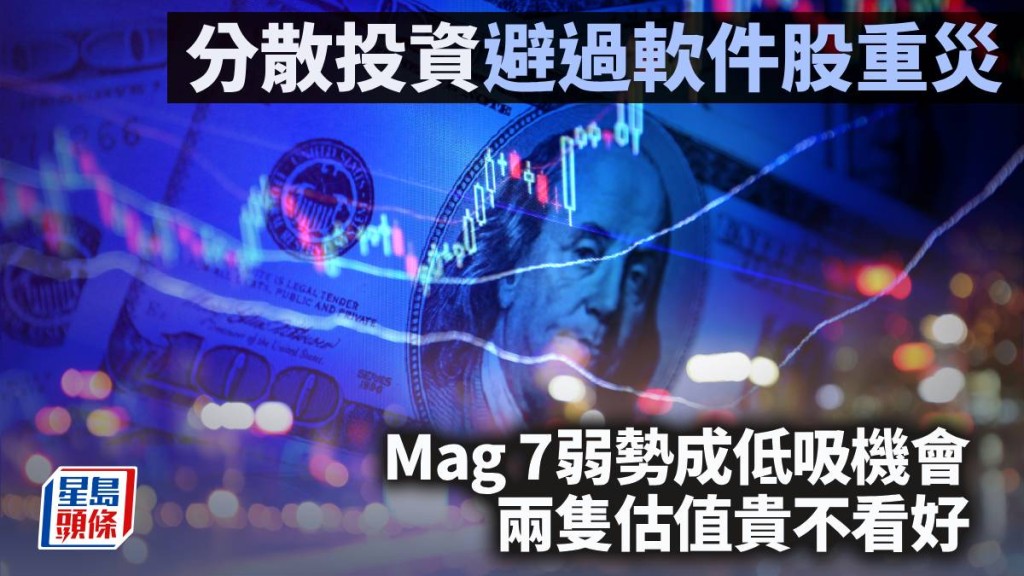 分散投資避過軟件股重災 Mag 7弱勢成低吸機會 兩隻估值貴不看好｜李聲揚