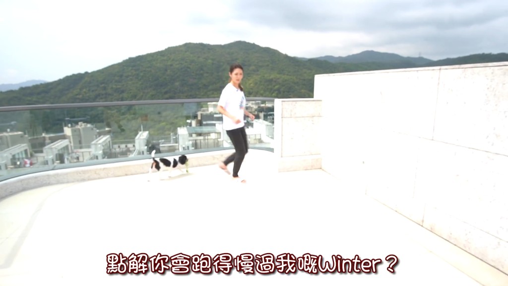 陳庭欣愛犬在630呎天台奔跑的影片，空間大到令部份網民表示羨慕。
