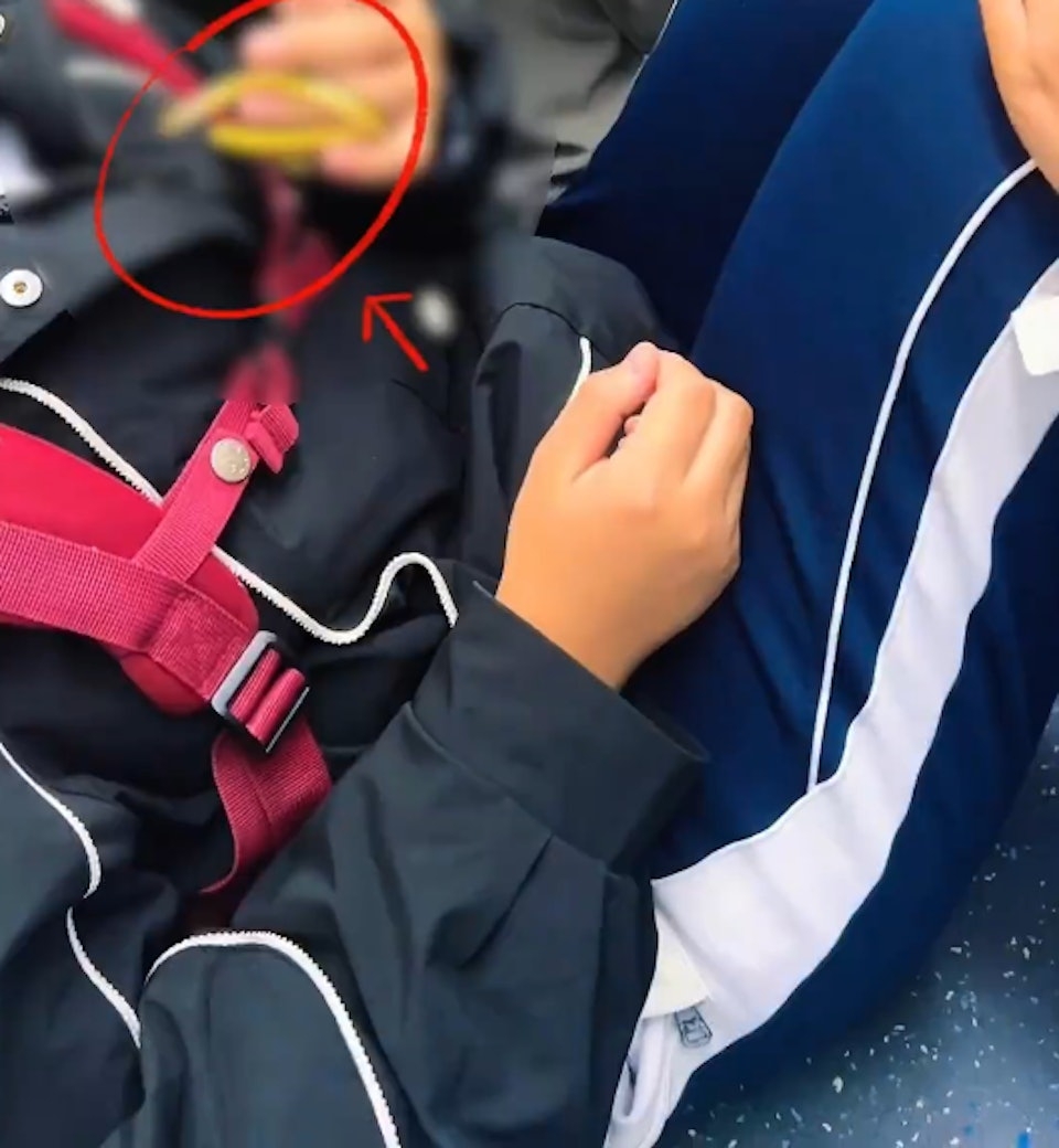 兩女生深圳地鐵拿出活蛇玩耍，乘客嚇壞。