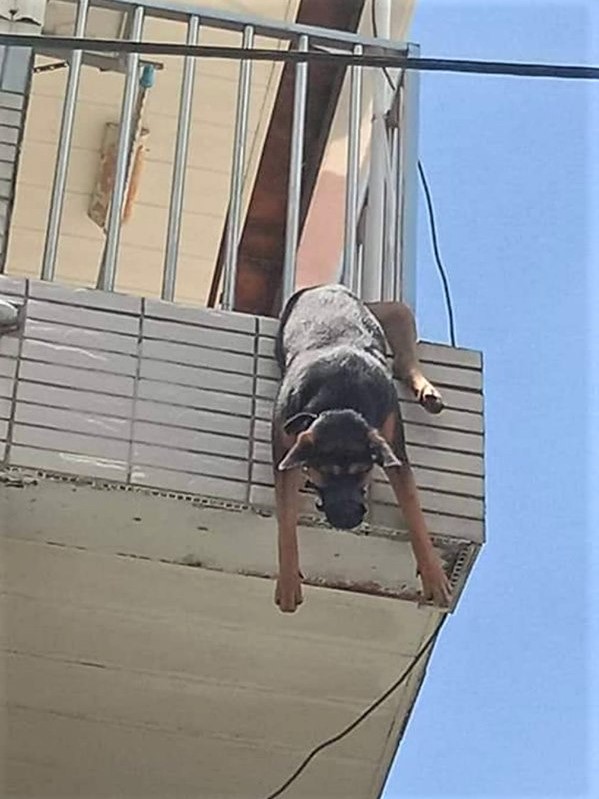 網圖