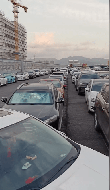 浙江臨海車主把車輛開上高架避颱風。 浙江臨海車主把車輛開上高架避颱風。