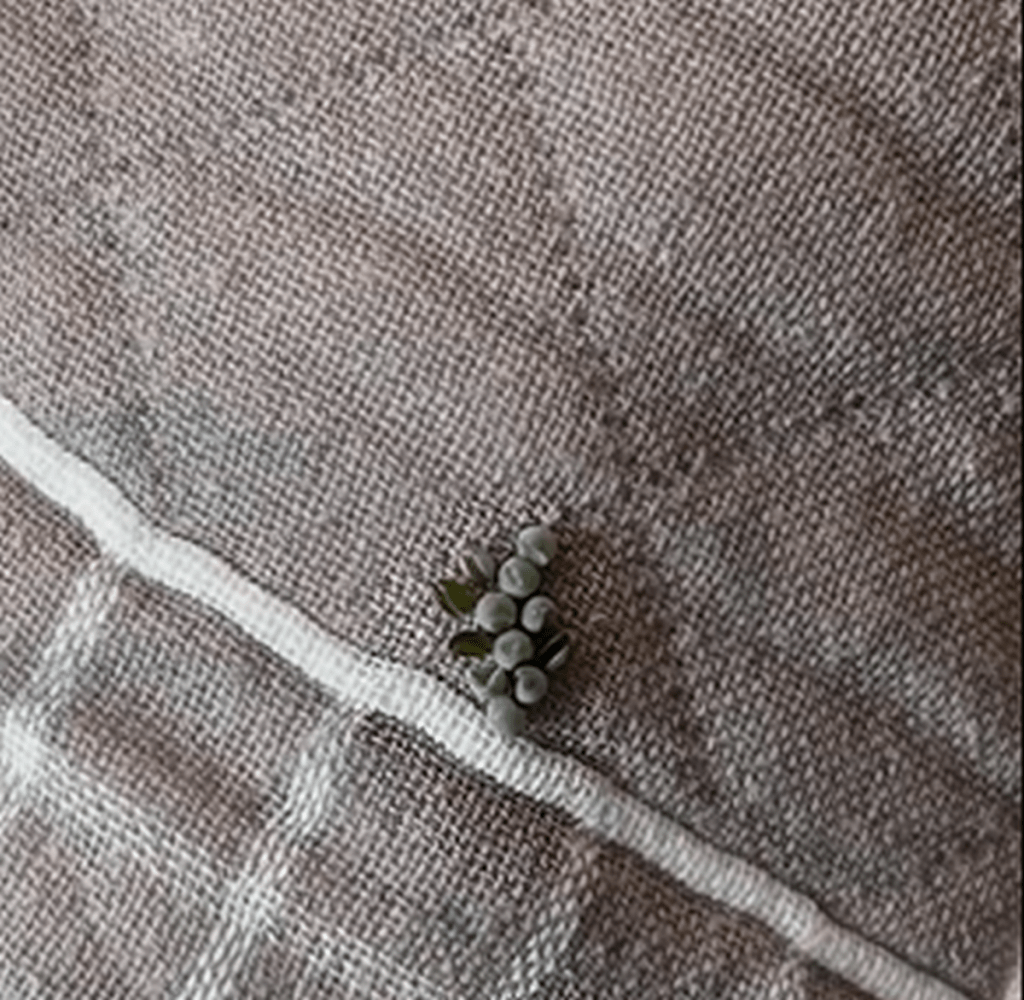 深圳男枕頭發現荔蝽蟲卵。 微博 深圳男枕頭發現荔蝽蟲卵。 微博