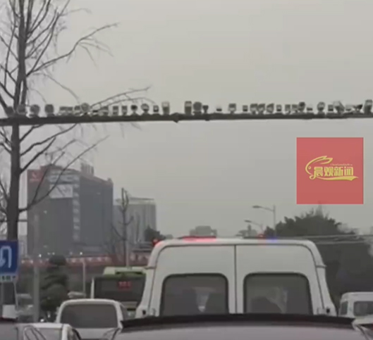 重庆一路口安装78个监控惹议。 网图