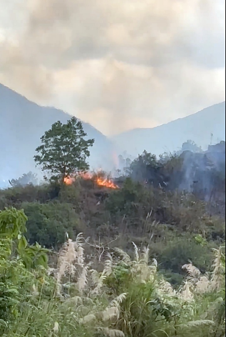 高埔新村附近一山头发生山火。
