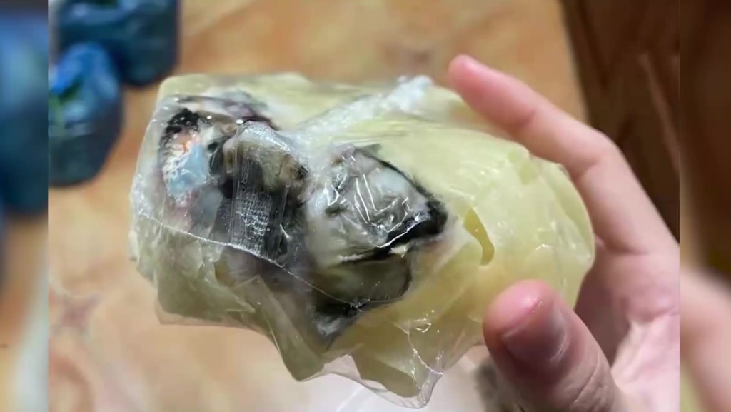 真空包裝內藏有一團疑似老鼠的物體。互聯網圖片
