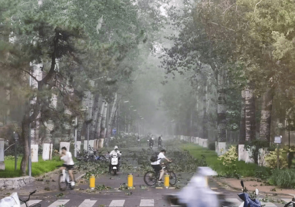 有北京网民发布暴风雨后清华大学校门北侧的照片。