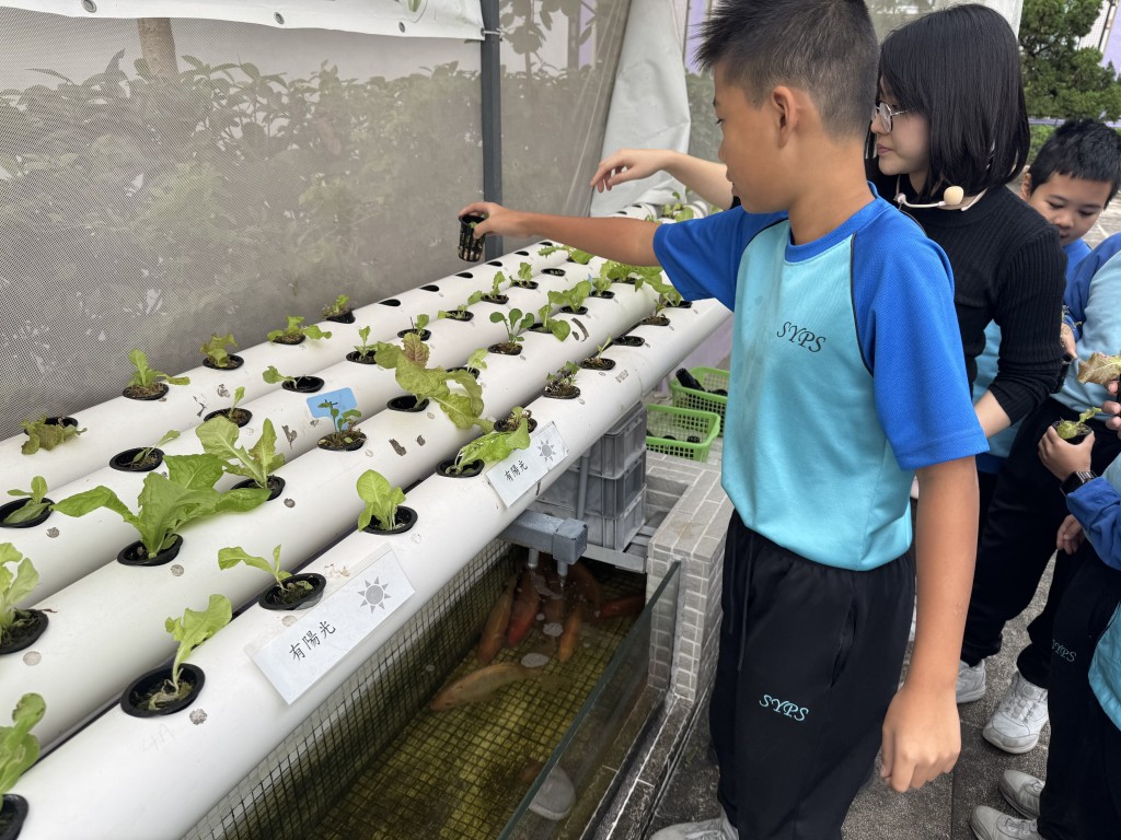 透過認識魚菜共生、資源永續的概念，學生學會珍惜食物。 （圖片來源：受訪者提供）