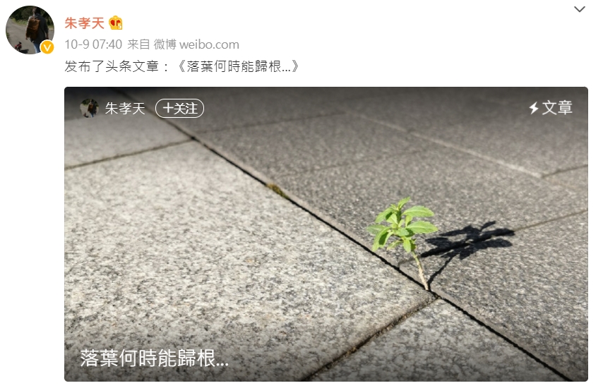 即出千字文解释。
