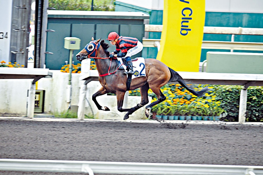 「爽快」上季跑泥地千六米連贏三仗，蕭劍平期望愛駒新季更進一步。