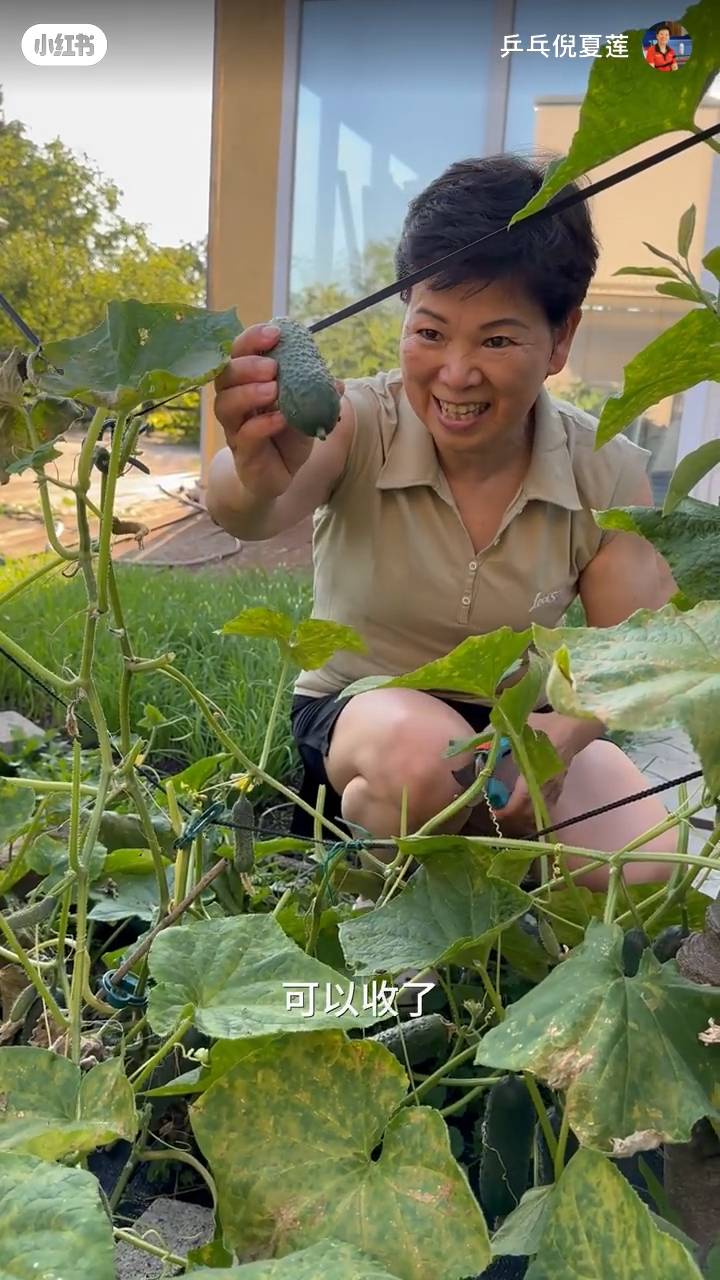 倪夏蓮在屋外拍攝，可見她種了不少蔬果、花朵。