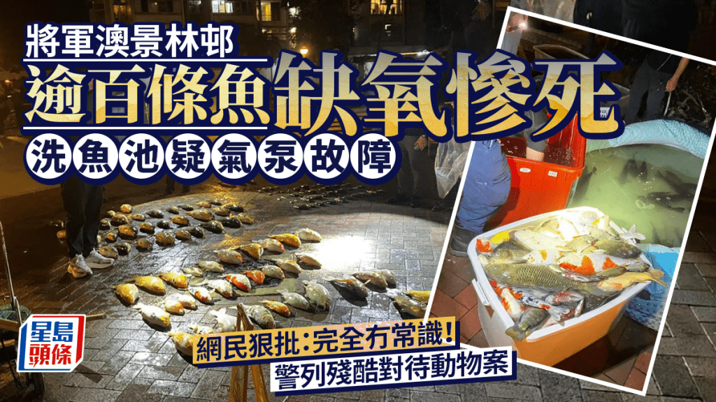 將軍澳景林邨洗魚池 逾百條魚被撈起疑缺氧慘死 網民狠批「完全冇常識」