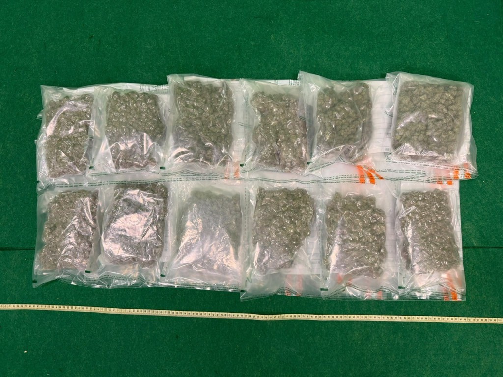 在該名36歲男旅客的隨身行李內檢獲的懷疑大麻花。政府新聞處圖片