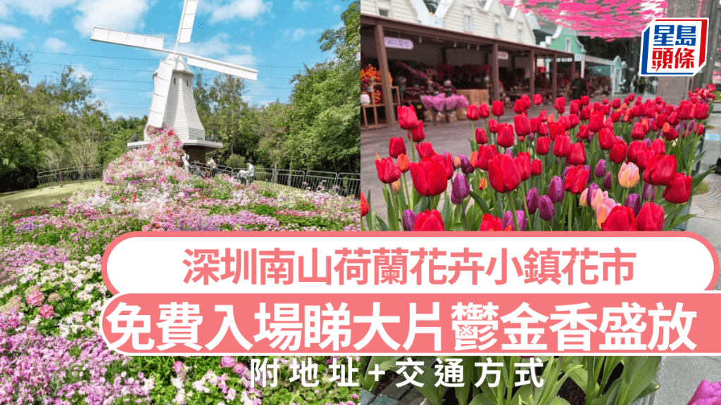 深圳南山荷蘭花卉小鎮花市｜免費入場睇大片鬱金香盛放 歐式風情小鎮瀑布花海 附地址+交通方式