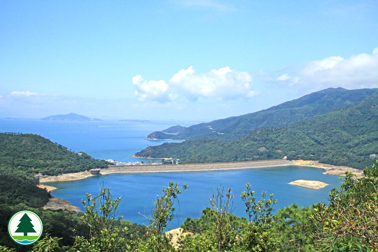 1960年，由于香港政府需兴建石壁水塘，把石壁山谷内约200名村民迁移至荃湾新市镇，政府为这群村民兴建6幢唐楼。石碧乡随即拆卸，原址永久淹没于水塘中。