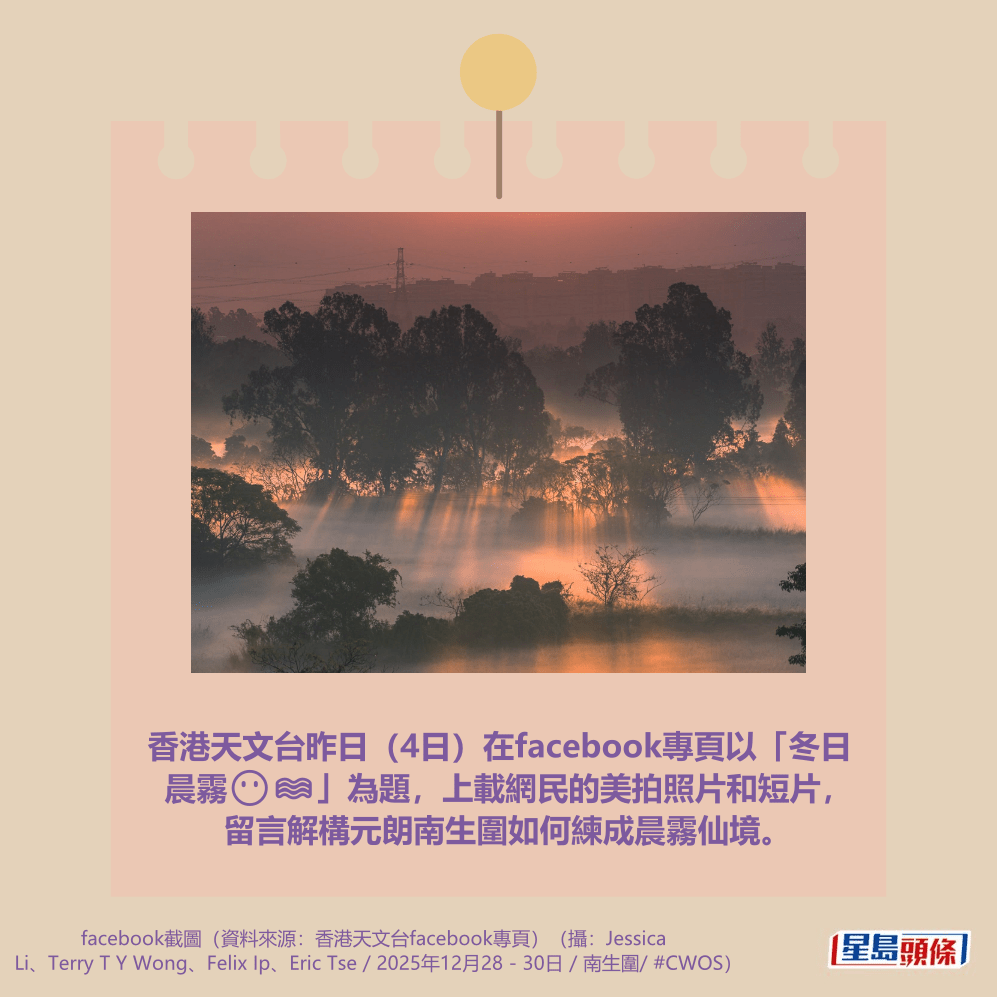 （摄：Terry T Y Wong / 2025年12月29日 / 南生围 / #CWOS）  ​