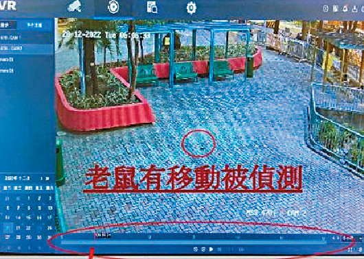 ■房署改良監控高空擲物閉路電視，轉成夜間便攜式監察系統，精準監測鼠蹤。