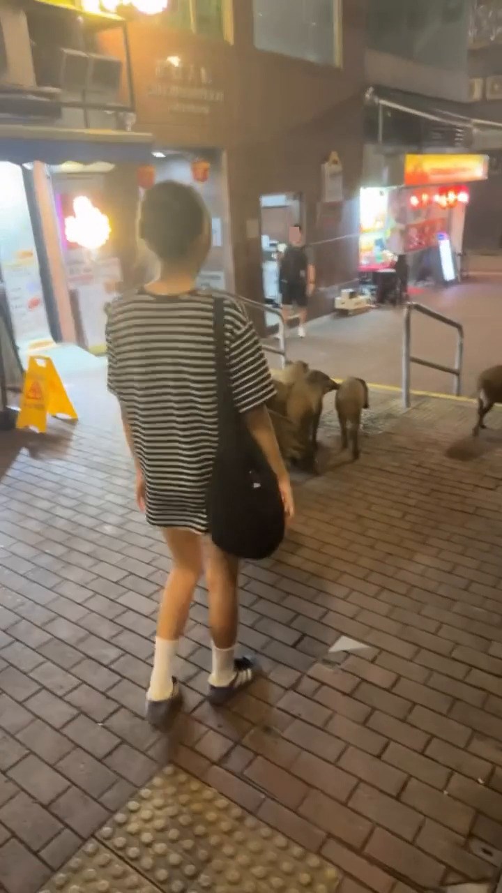 圖片：Threads截圖（資料來源：czofy＠Threads）