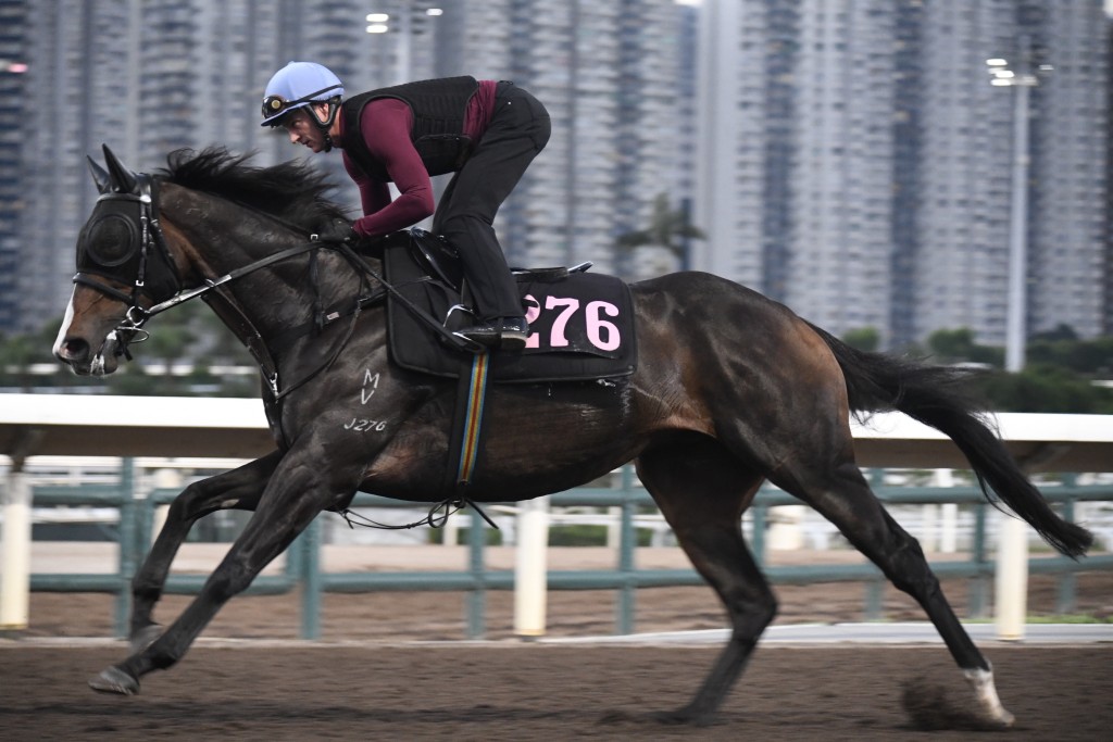 潘頓操「納百川」後落馬，罕見停下腳步細心檢視馬身。