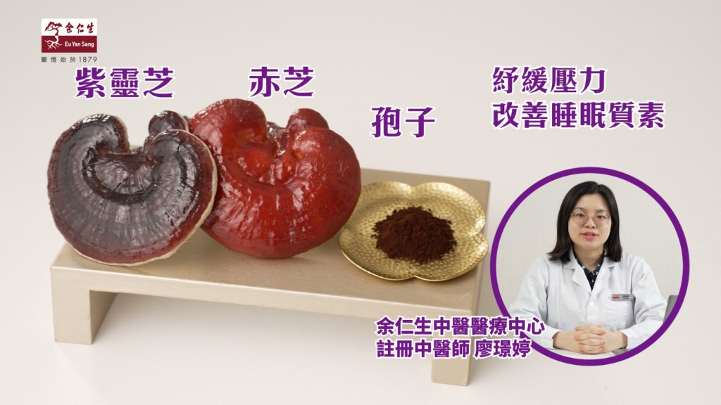 紫靈芝搭配赤芝與孢子,可改善整體睡眠品質,幫助縮短入睡時間。 紫靈芝搭配赤芝與孢子,可改善整體睡眠品質,幫助縮短入睡時間。