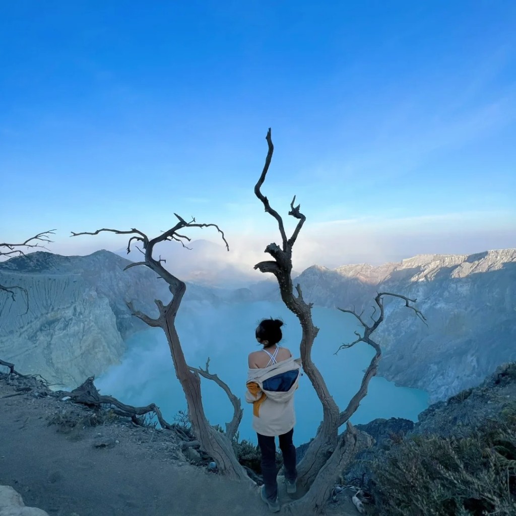 到印尼「伊真火山」網紅樹成為遊客打卡位。小紅書