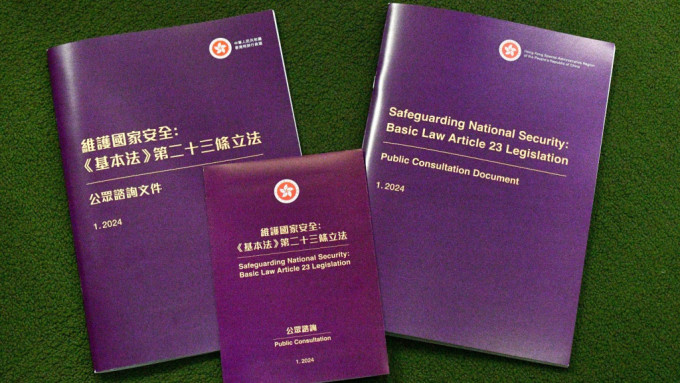 蔡若莲表示，订立《维护国家安全条例》是完成基本法所赋予的香港宪制责任。资料图片