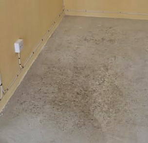 有公屋住戶剛接 收丟空1年的單位,睇樓時發現地下發霉。fb「公屋討論區 - 香港facebook群組」截圖 有公屋住戶剛接 收丟空1年的單位,睇樓時發現地下發霉。fb「公屋討論區 - 香港facebook群組」截圖