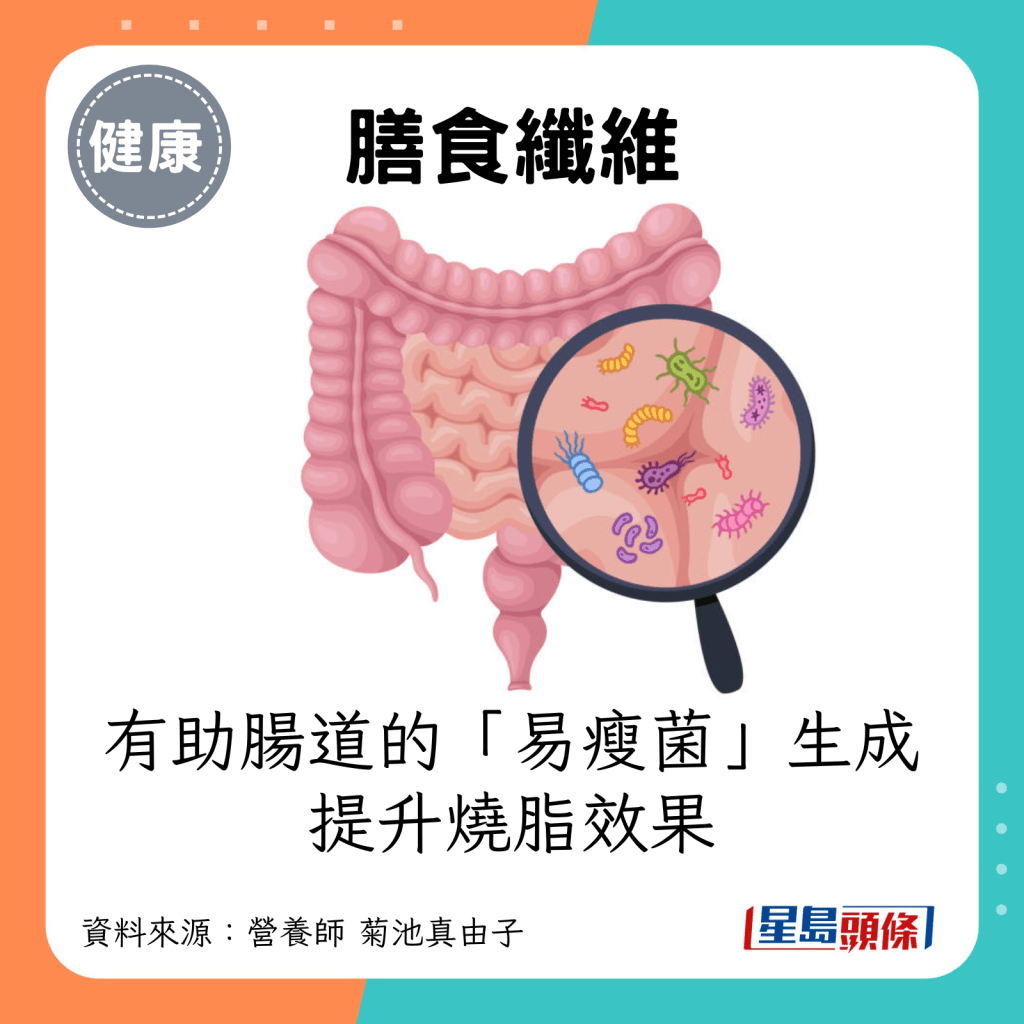 膳食纖維：有助腸道的「易瘦菌」生成，提升燒脂效果