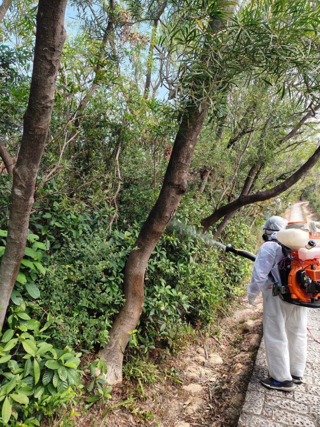食環署已聯同多個部門在青衣自然徑加強滅蚊。食環署FB圖片