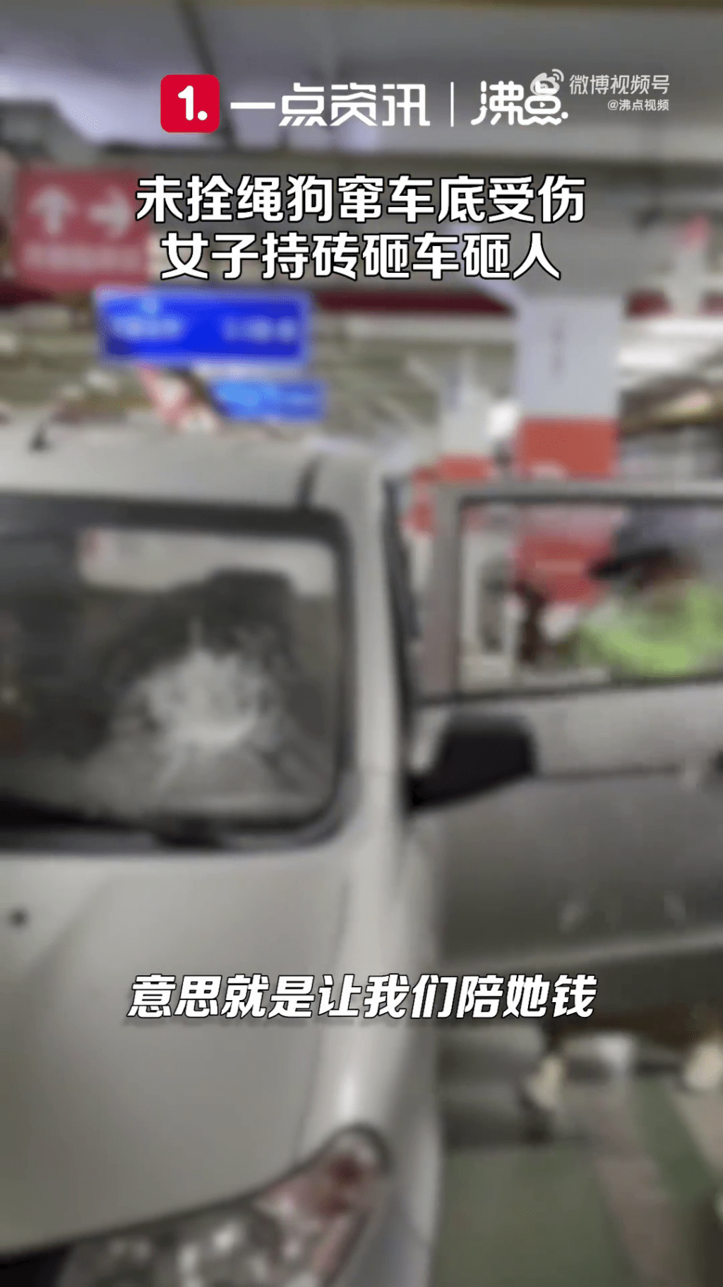 女狗主打開車門將車窗打碎。