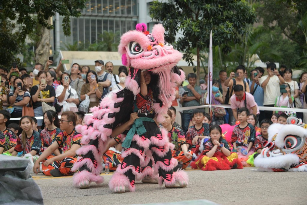 來自香港和廣東等地的龍獅隊，組成8 條彩龍和 75 頭醒獅參加大匯演。陳浩元攝