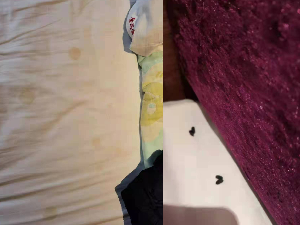 梁女士被臨時安排入住的房間,第一晚床單有污漬,第二晚床上更發現老鼠屎。 (網上圖片)