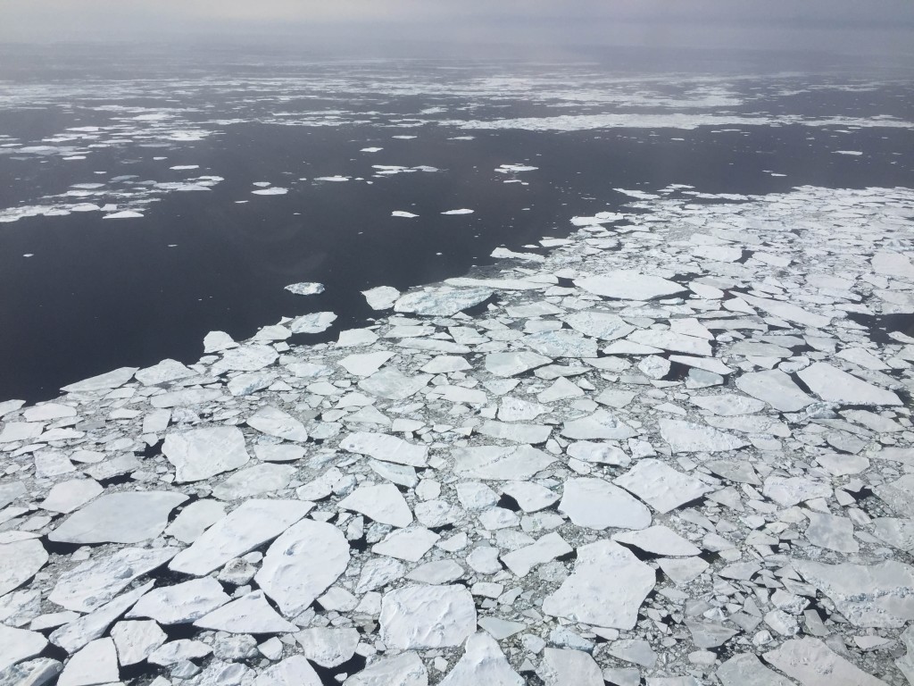 專家指海冰下降的趨勢可能是全球暖化最終影響到南極周遭浮冰的訊號。 TWITTER圖