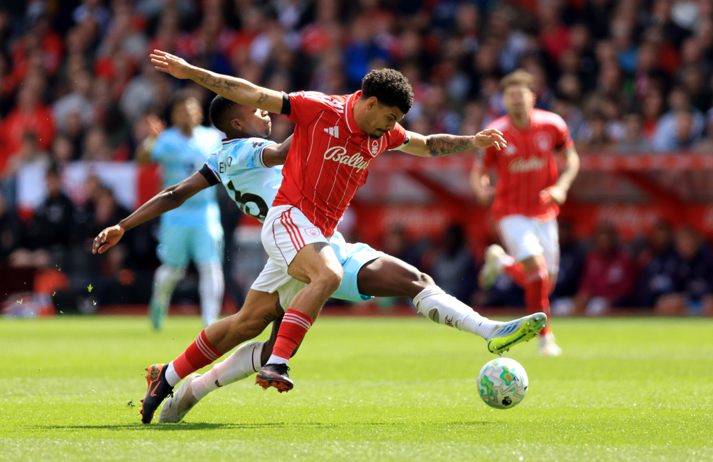 森林护级形势稍为明朗。美联社