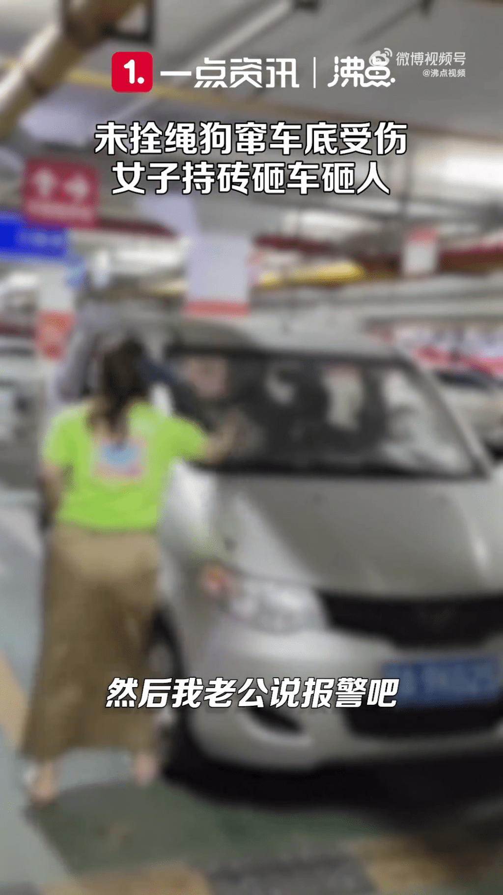 女狗主继续用砖头扑车。