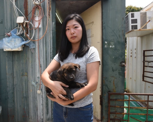 高小姐抱住只有2個月大的「豹仔」,不敢再讓牠們自由走動。