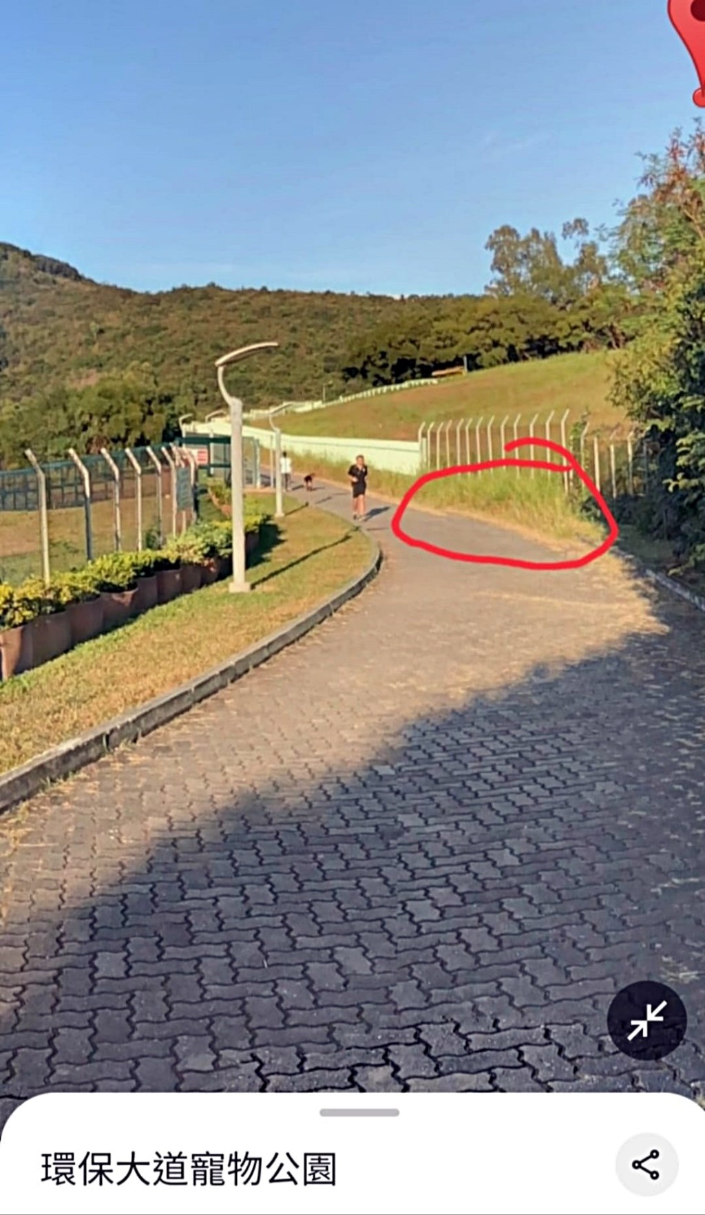 去年曾有狗主在狗公園路邊發現可疑食物。張展鵬議員提供