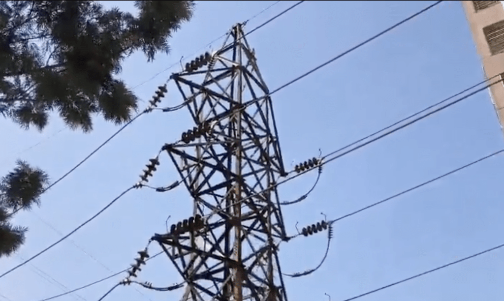 死者飼養的一隻身價高達25萬盧比(約2.5萬港元)的金剛鸚鵡突然飛離住所,並落在附近的一根電線桿上。X@prajwaldza 死者飼養的一隻身價高達25萬盧比(約2.5萬港元)的金剛鸚鵡突然飛離住所,並落在附近的一根電線桿上。X@prajwaldza