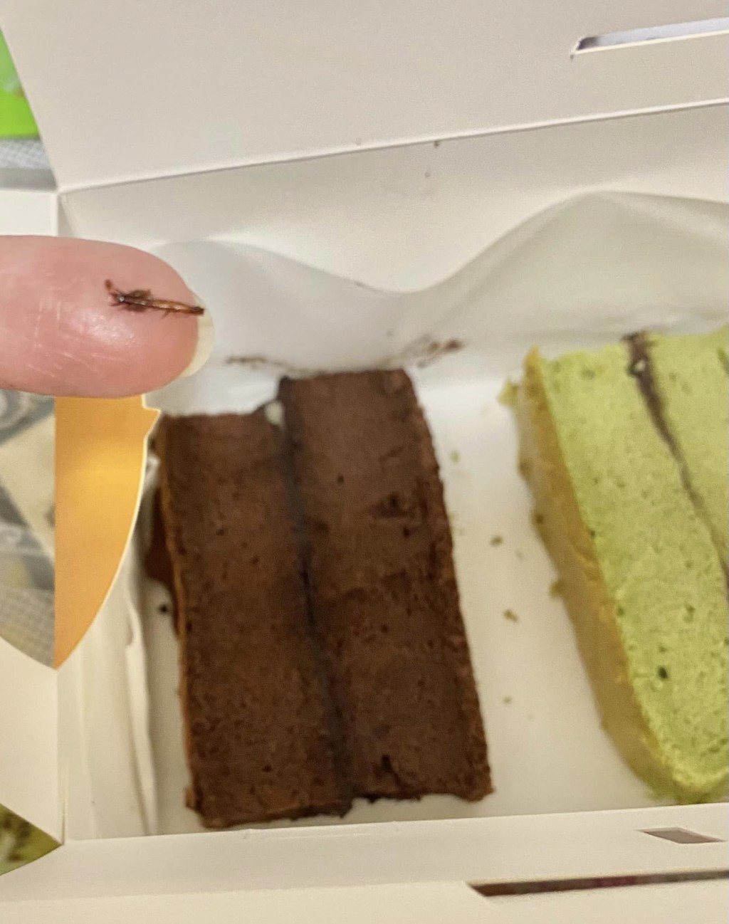 有網民在進食朱古力味蛋糕時，發現疑似有毛的曱甴腳。「中伏飲食報料區」FB