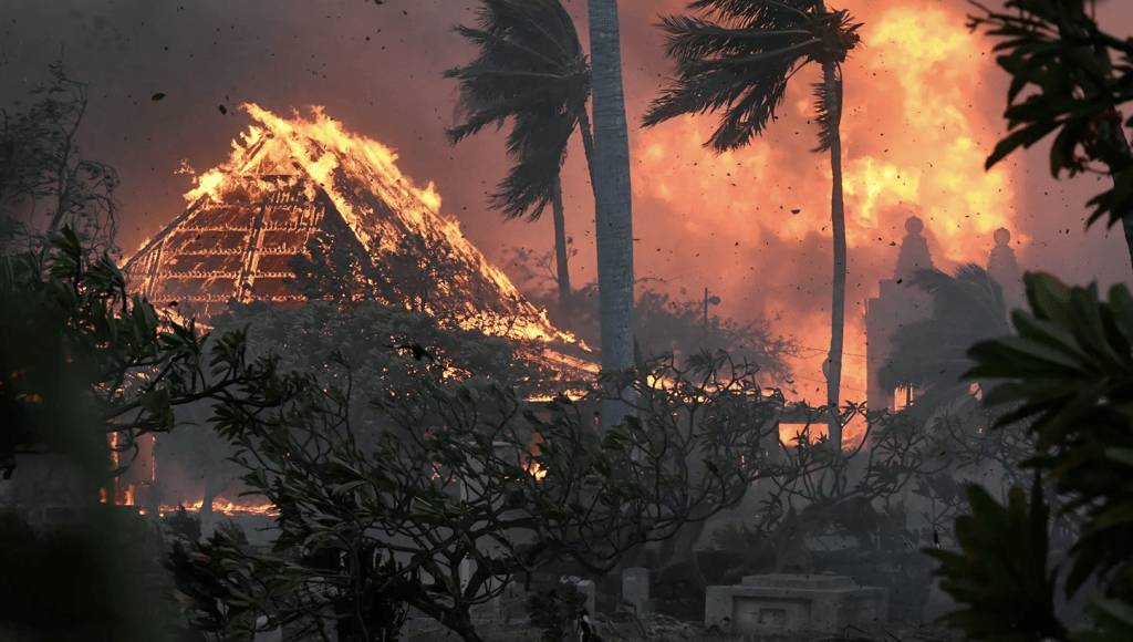 美國夏威夷第2大島毛伊（Maui）島爆發山火大災難，造成至少55人喪生。AP