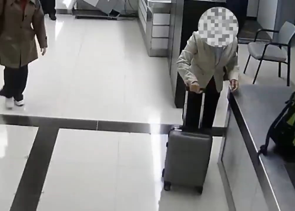 一名女客经罗湖口岸北上，被发现偷运52株“龟甲牡丹”仙人掌。海关发布