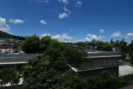 單位外望內園景，眺望綠林景。